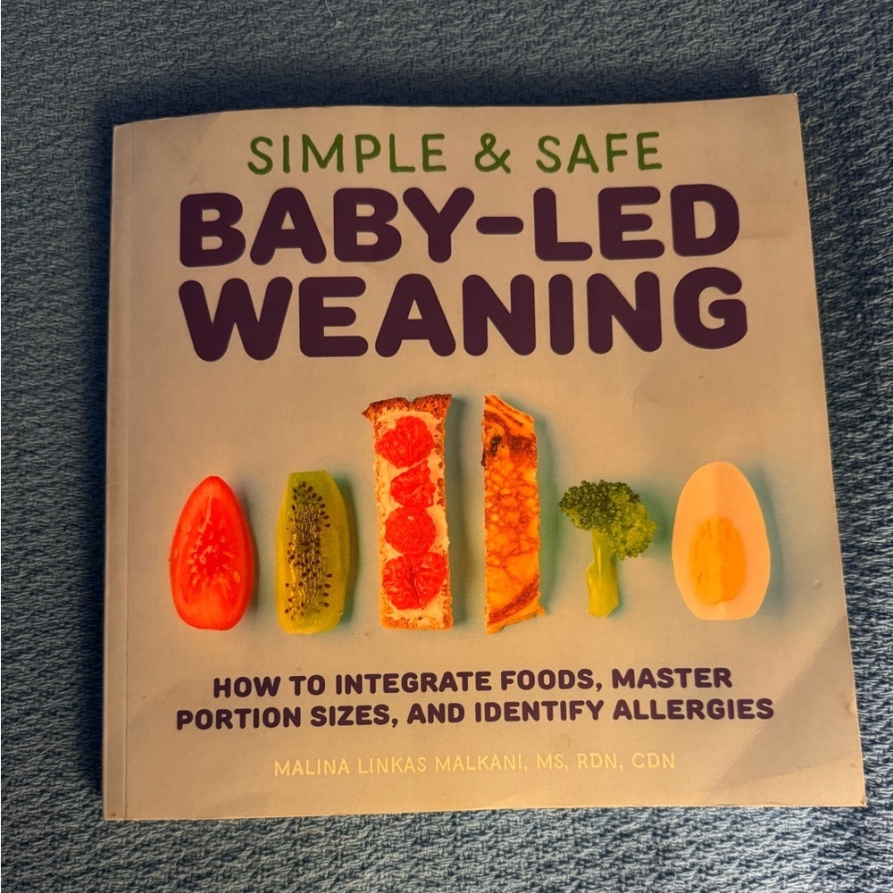 Simple & Safe Baby-Led Weaning Book / Good Condition